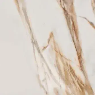 תקריב של הטקסטורה של Golden Bianco