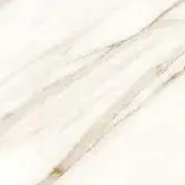 תקריב של עורקי השיש