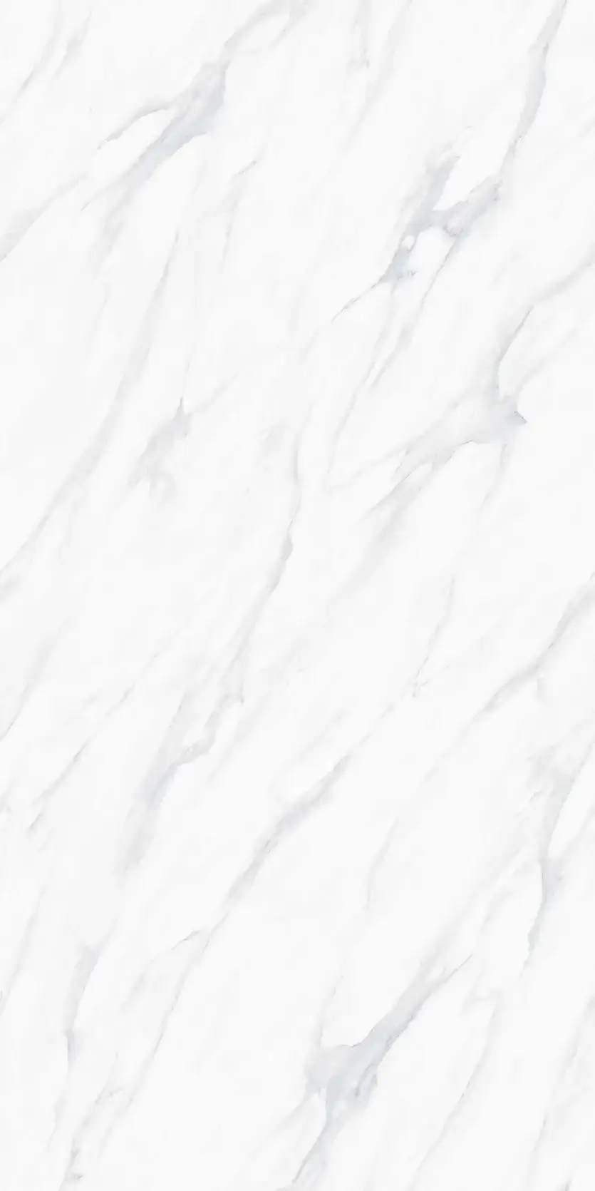 לוח Calacatta White במלואו